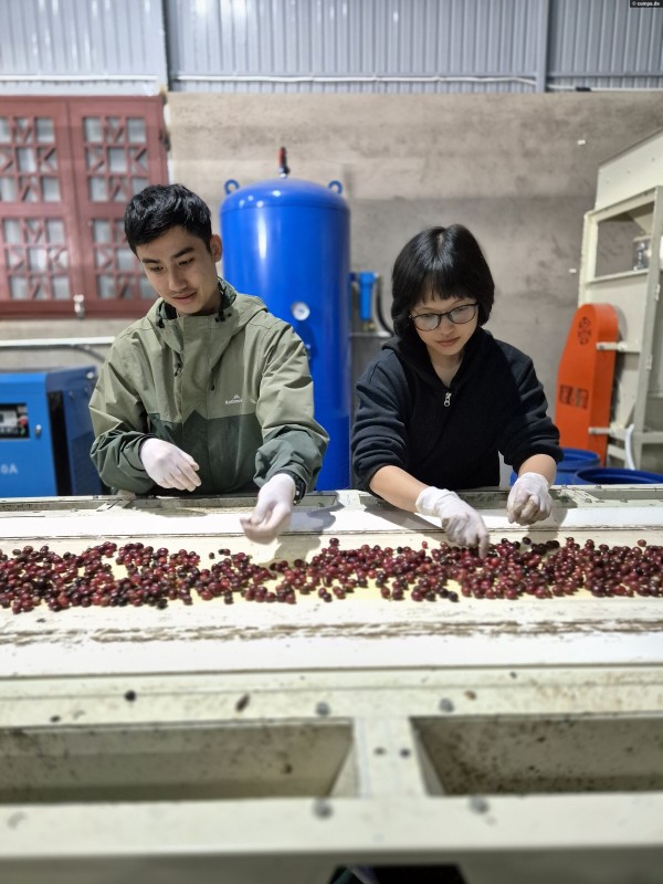 Farm Bild
